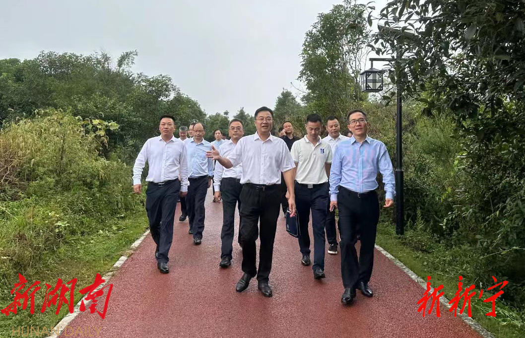蔡典维来新调研乡村振兴工作_邵阳头条网